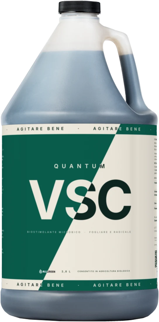 Tanica di Quantum VSC