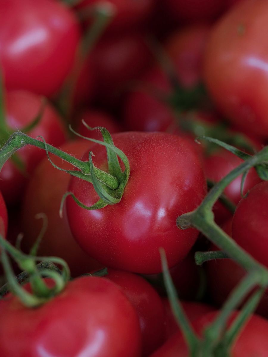 Pomodori a grappolo