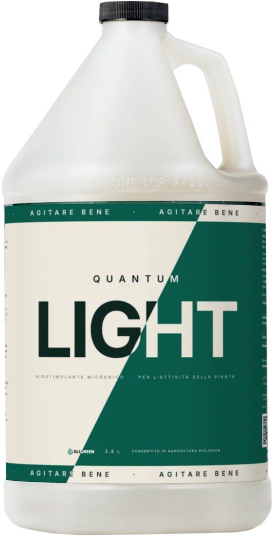 Tanica di Quantum Light
