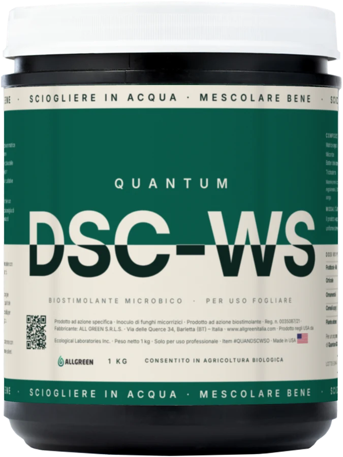 Barattolo di Quantum DSC-WS